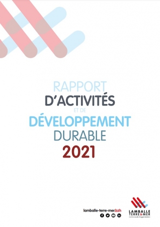 Rapport d'activité developpement durable 2021